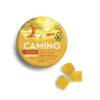 Camino Mango Gummies THC:CBD 5:5 – Balanced Relaxation