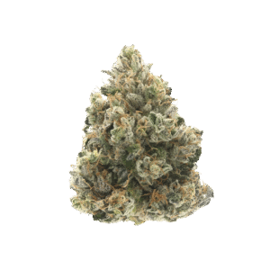 1 Ounce Super Exotic β Donny OG (Indica/Hybrid) 36.5% THC