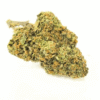Gorilla Glue 3.5g