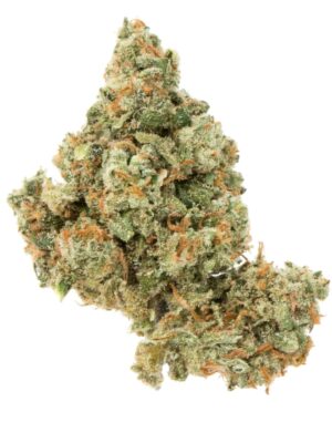 Experience Original Jack Sativa 3.5g with 36% THC. Super Exotic Sativa for energizing effects. Fast EU delivery to Germany, Switzerland & Austria.