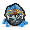 Sweet blue raspberry gummies infused with premium mushroom extract. Smooth texture, balanced portions, and discreet EU delivery.
