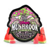 Juicy watermelon wonder gummies infused with premium mushroom extract. Smooth flavor, balanced portions, and discreet EU delivery.